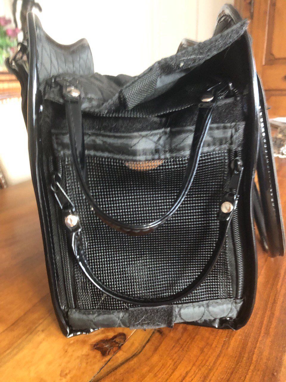 Borse: Hundetasche – Usato da Speicher venduto da Ramtha1 2