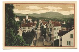 Hinwil (ZH) Dorfpartie mit Kirche - Wohnhäuser - um 1920