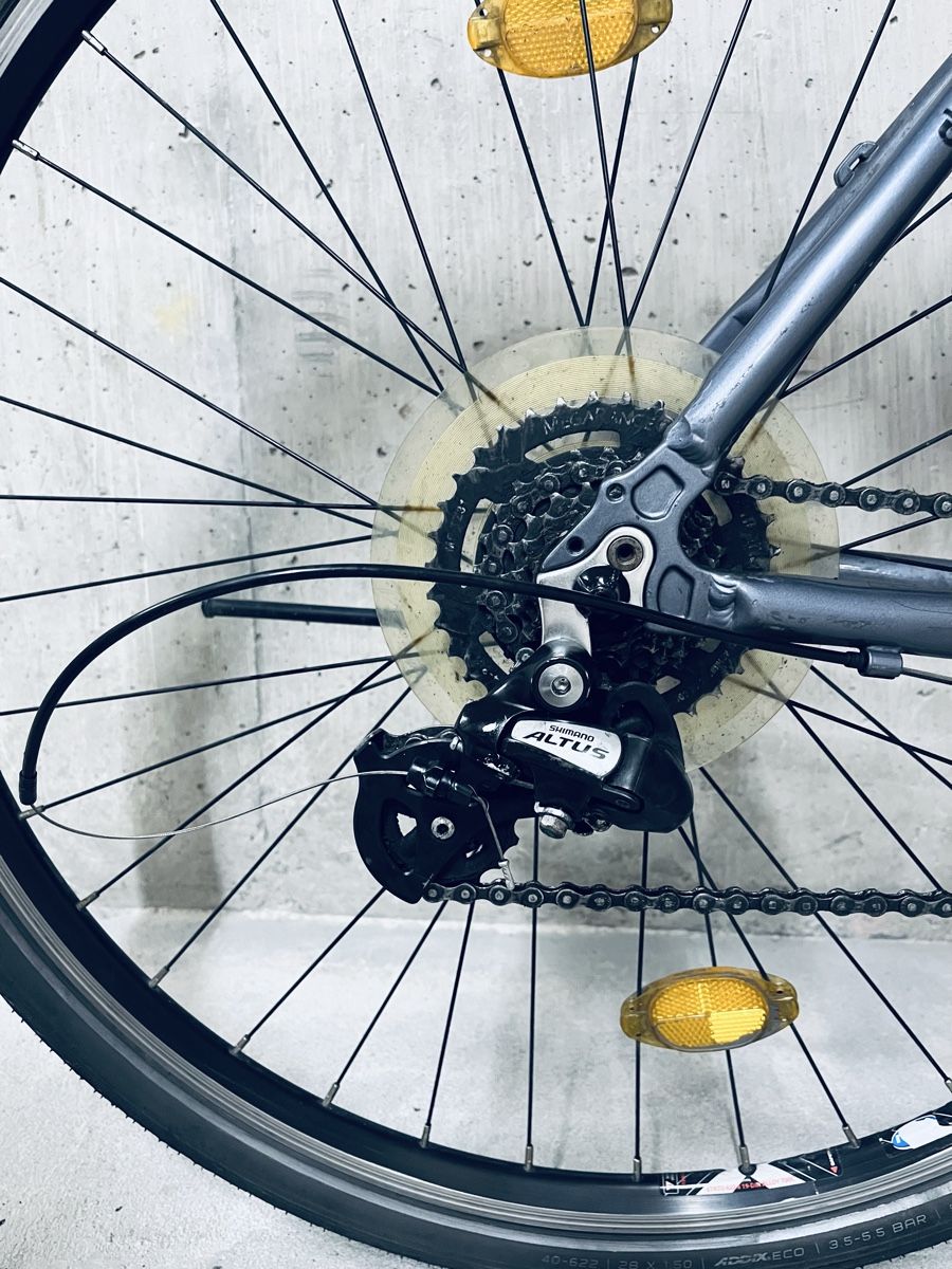 Winora Biciclette: Winora Dubai Damen Velo – Usato da Zürich venduto da Bidon3011 6