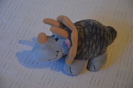 NICI - CM 16