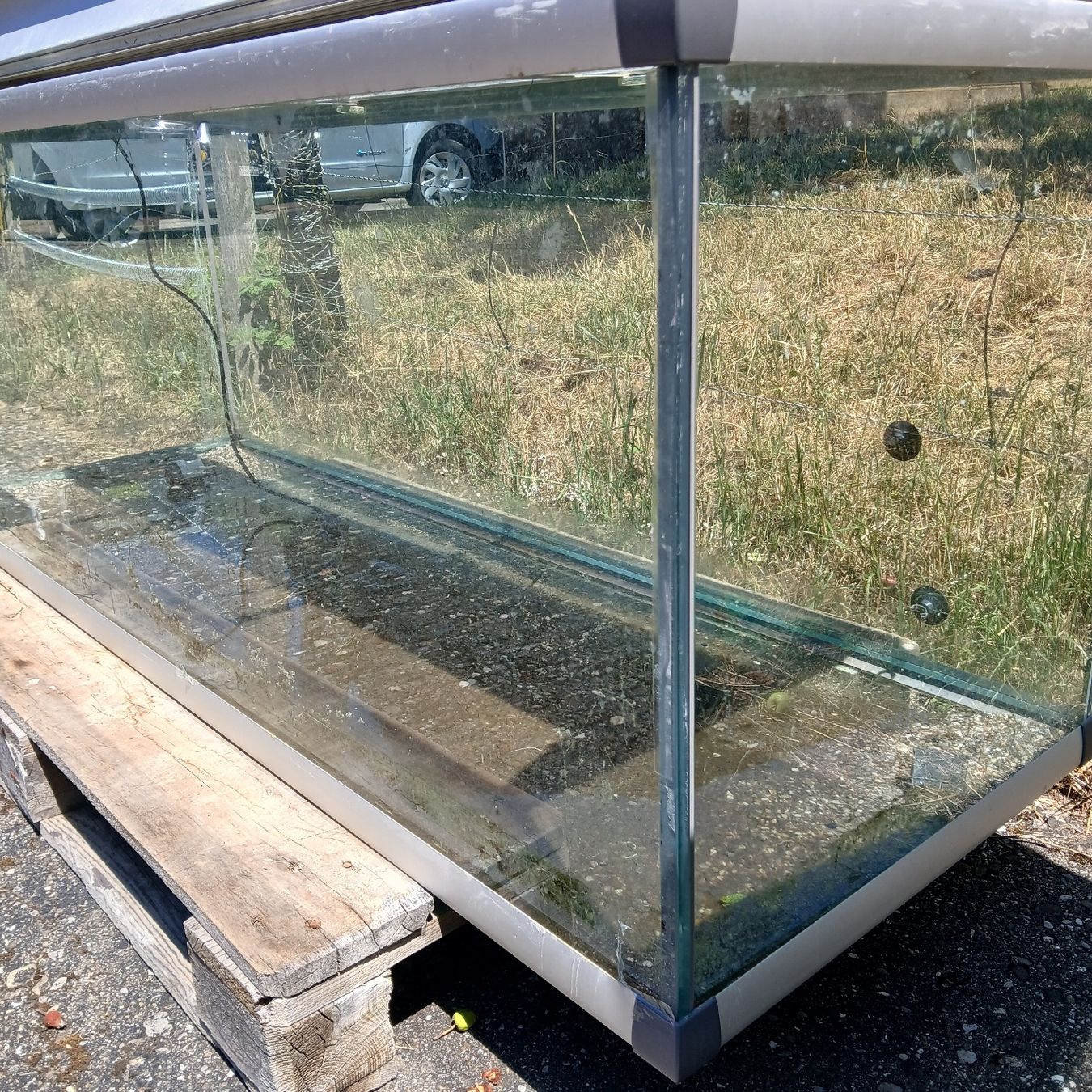 Aquarium: Aquarium – Défectueux à Sulz AG par 5cala 3