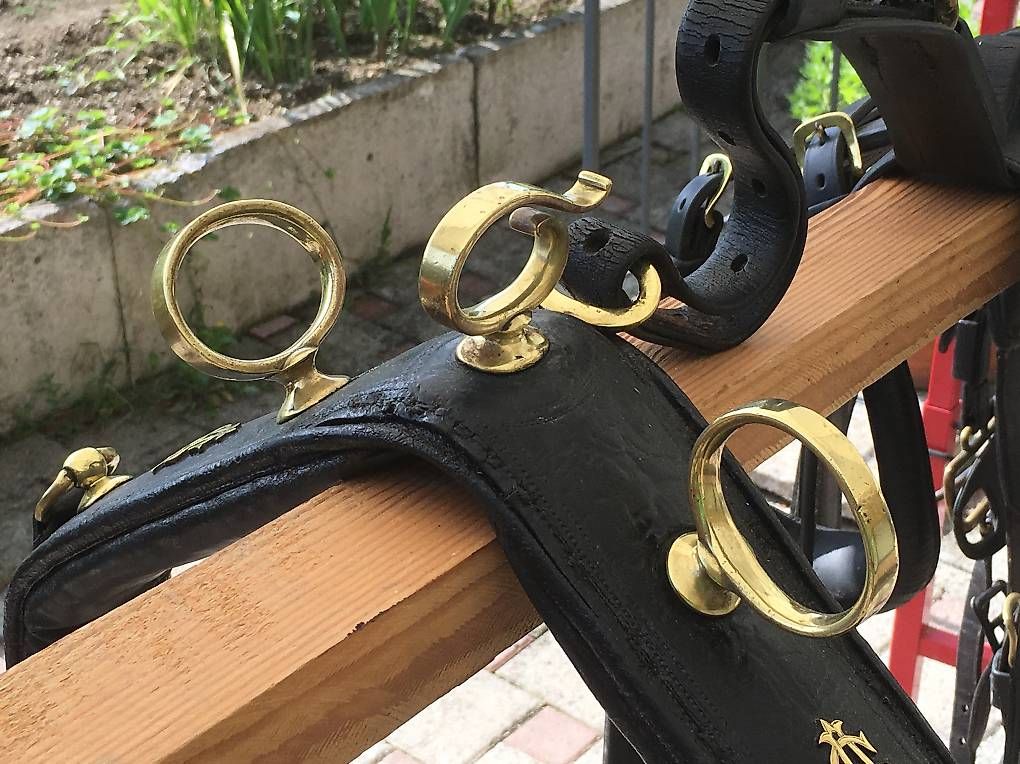 Kletterausrüstungen: Colliers anglais attelage – Gebraucht aus Romont FR von acmoi55 2