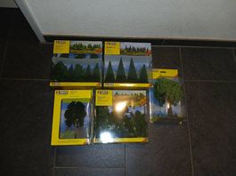 Noch