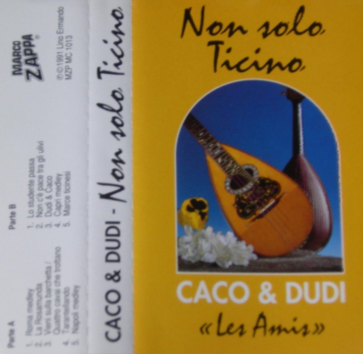 Musicassette: NON SOLO TICINO MC.Cassette – Nuovo e nell'imballaggio originale da Ascona venduto da he9fabus 3
