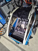 Qeridoo Kidgoo 2  - Guter Zustand!