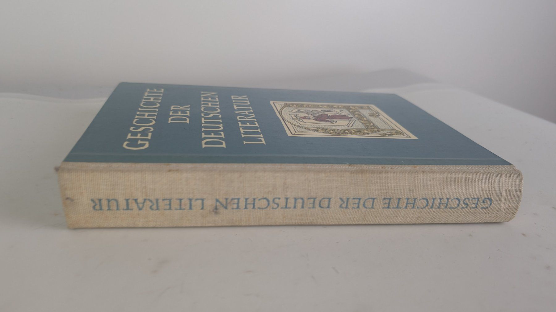 Libri: Geschichte der deutschen Literatur – Usato da Zürich venduto da axolottchen 1