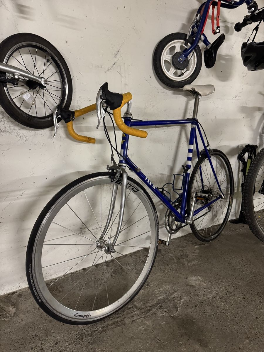 Biciclette: Rennrad – Usato da Zürich venduto da Ekaterinek 1