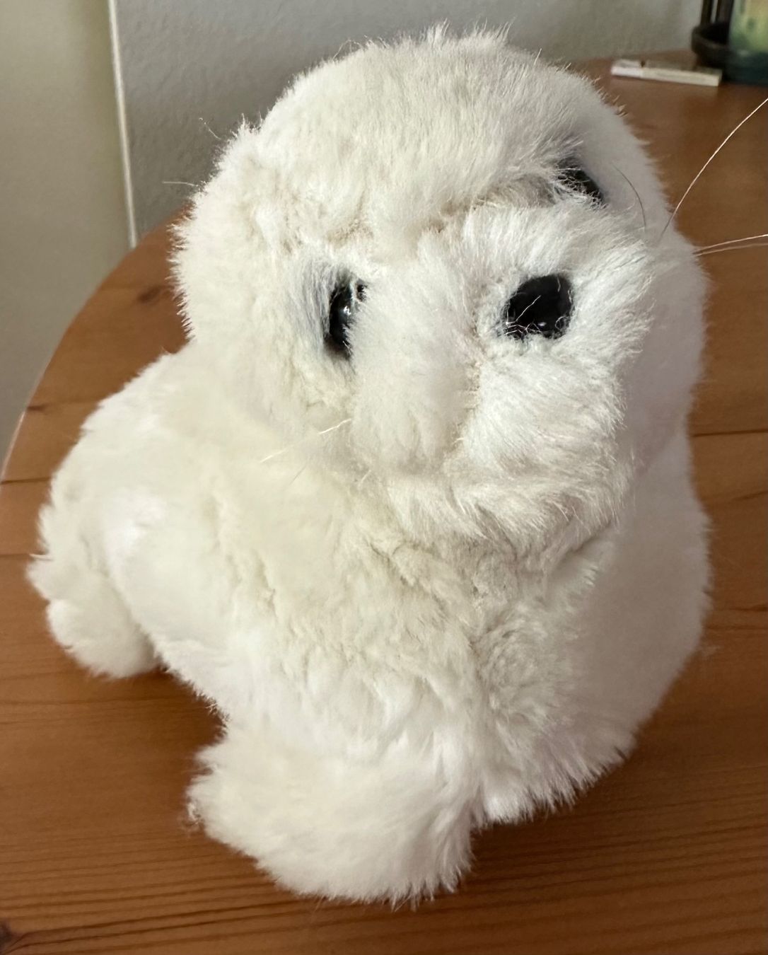WWF Spielzeuge: Plüschtier Baby Robbe weiss – Gebraucht aus Winterthur von jud_xfw6 5