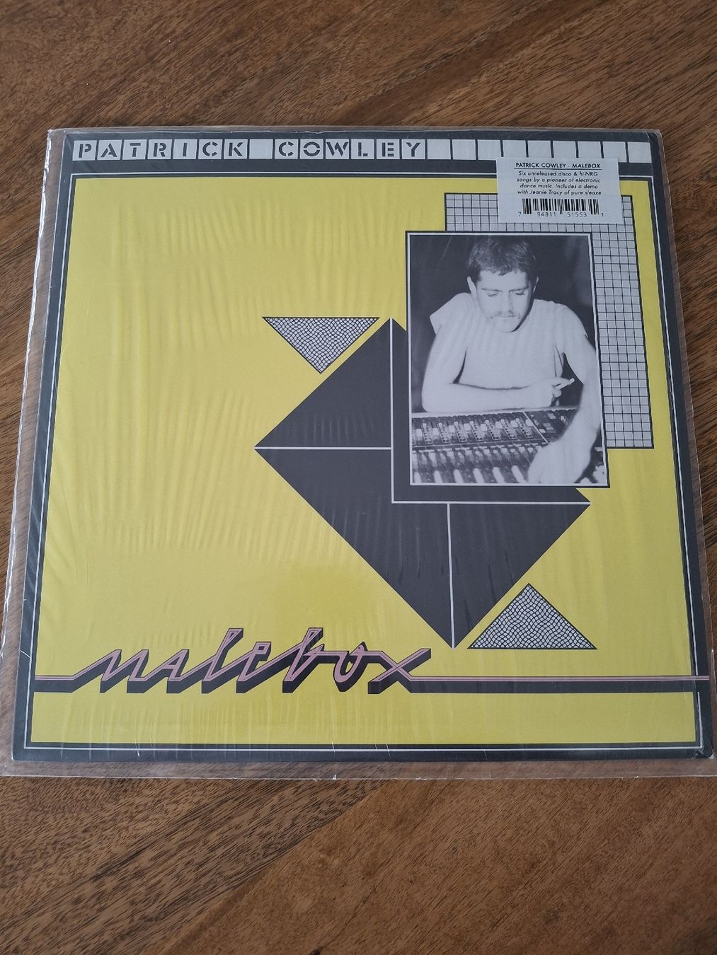 Dischi in vinile: Patrick Cowley  - Malebox - LP  – Usato da LAUSANNE venduto da DESH3