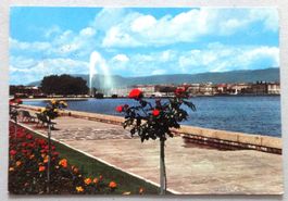 Genève - Quai G. Ador et le Jet d'Eau 130 m