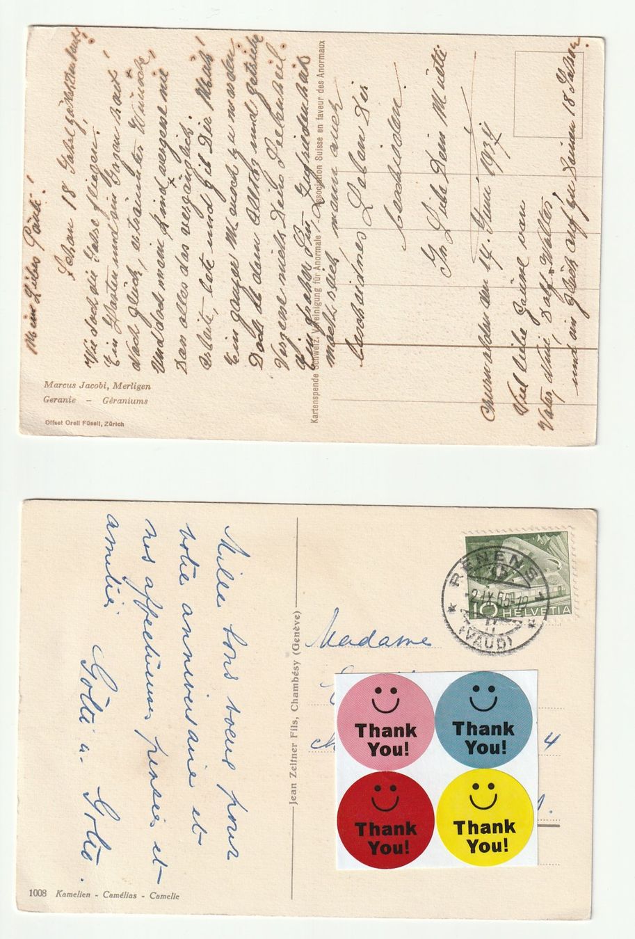 Cartoline postali: Postkarten 1937 / 1955 Blumen-Stillleben Geranien & Kamelien – Usato da St. Gallen venduto da Ricardo_Deals 1