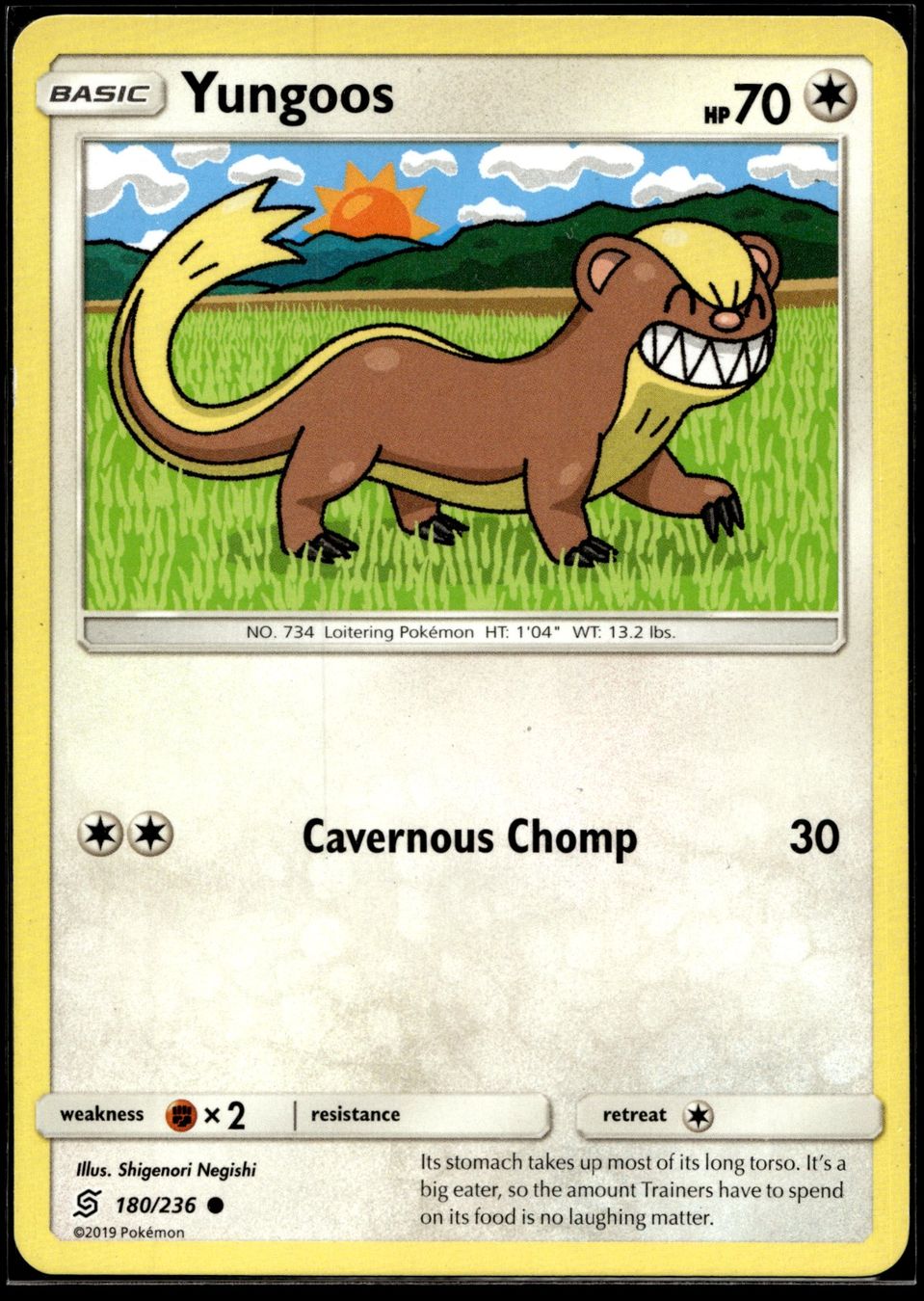 Pokémon Sammelbilder & Trading cards: Yungoos (UNM EN 180/236) – Gebraucht aus Affoltern am Albis von Chiesa_5