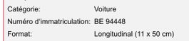 Bern License Plate BE94448