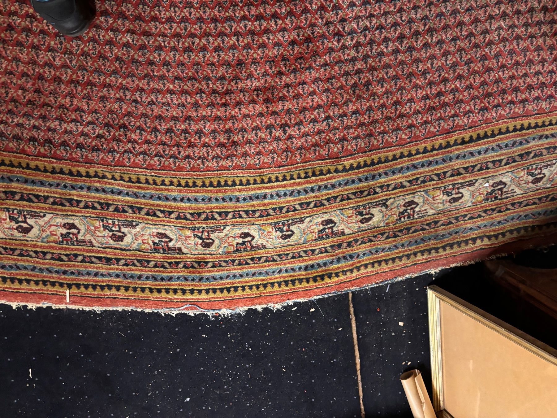 Tappeti: Teppich MIR 400x305cm – Usato da Hindelbank venduto da brm_72zv 5