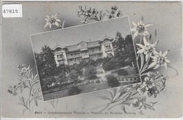 Bern - Krankenpension Victoria - Edelweiss-Karte