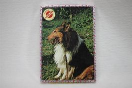 Altes Lassy Puzzle 30 Teile