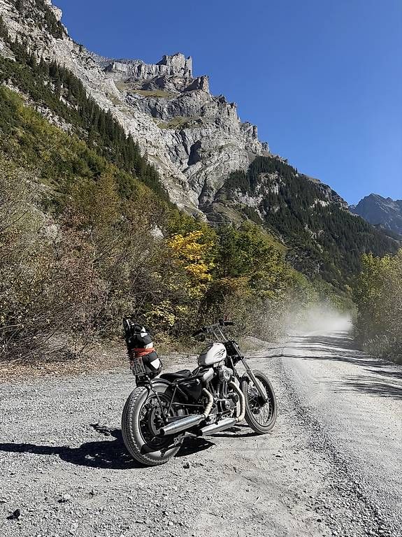Chopper: harley-davidson Sportster Chopper – Gebraucht aus frutigen von thama123 1