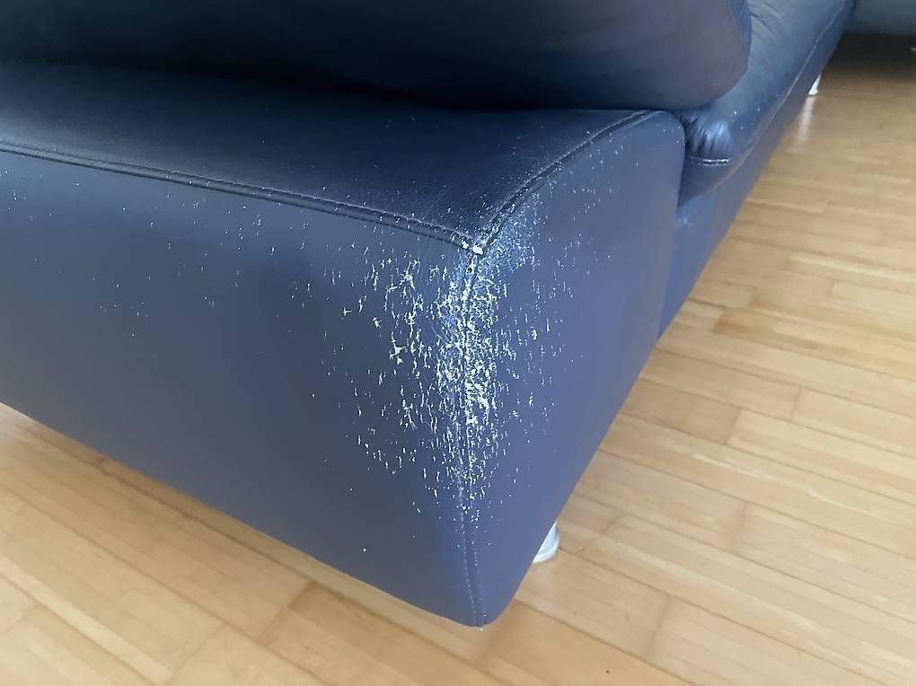 Sofas: Markensofa W. Schillig Lederimitat, Viersitzer – Gebraucht aus Bremgarten b. Bern von tom987 3