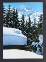 AK Féerie hivernale