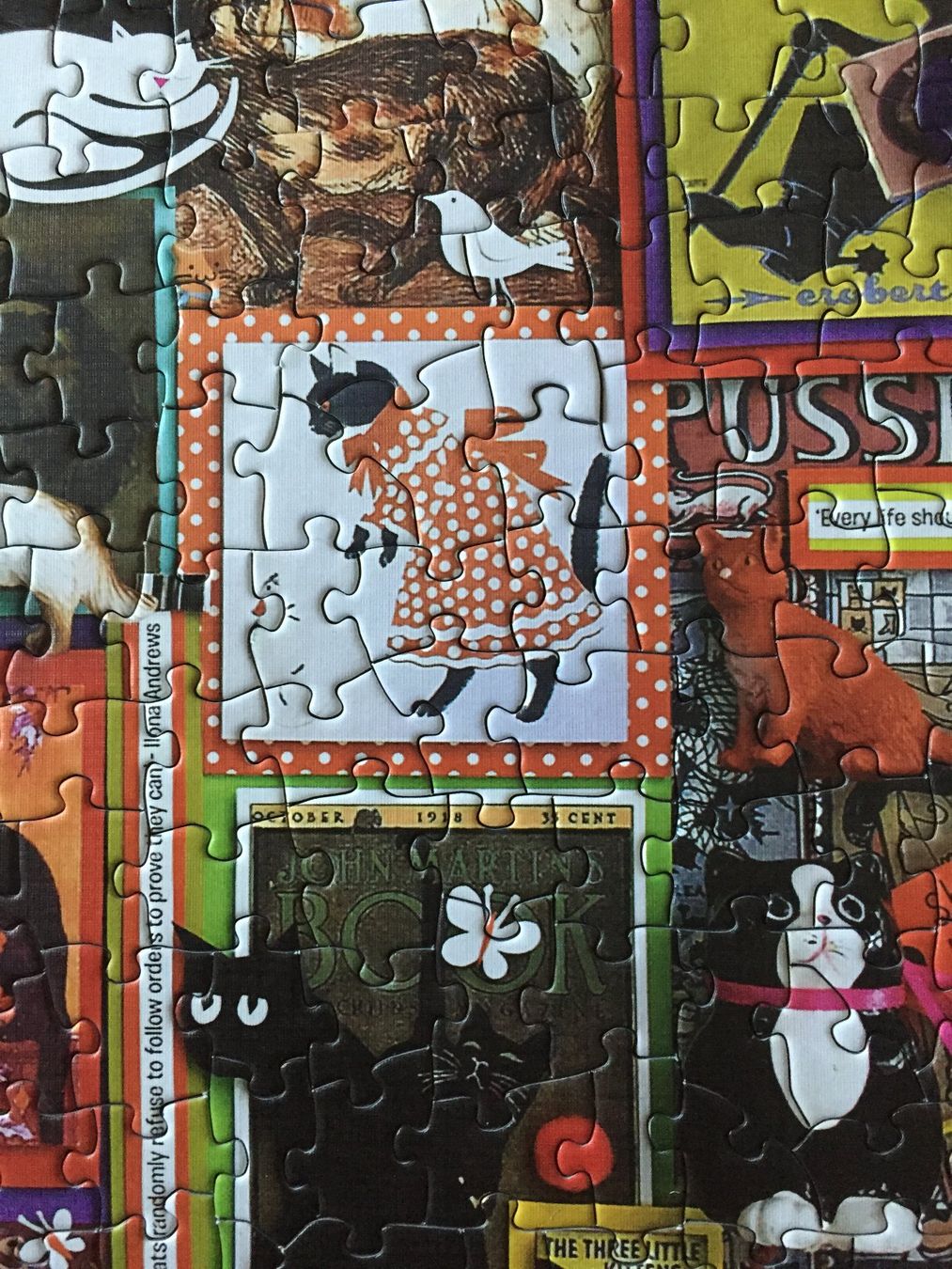 Puzzle: Puzzle Katzen 1000 Teile – Usato da Lützelflüh-Goldb venduto da Fresu8 3