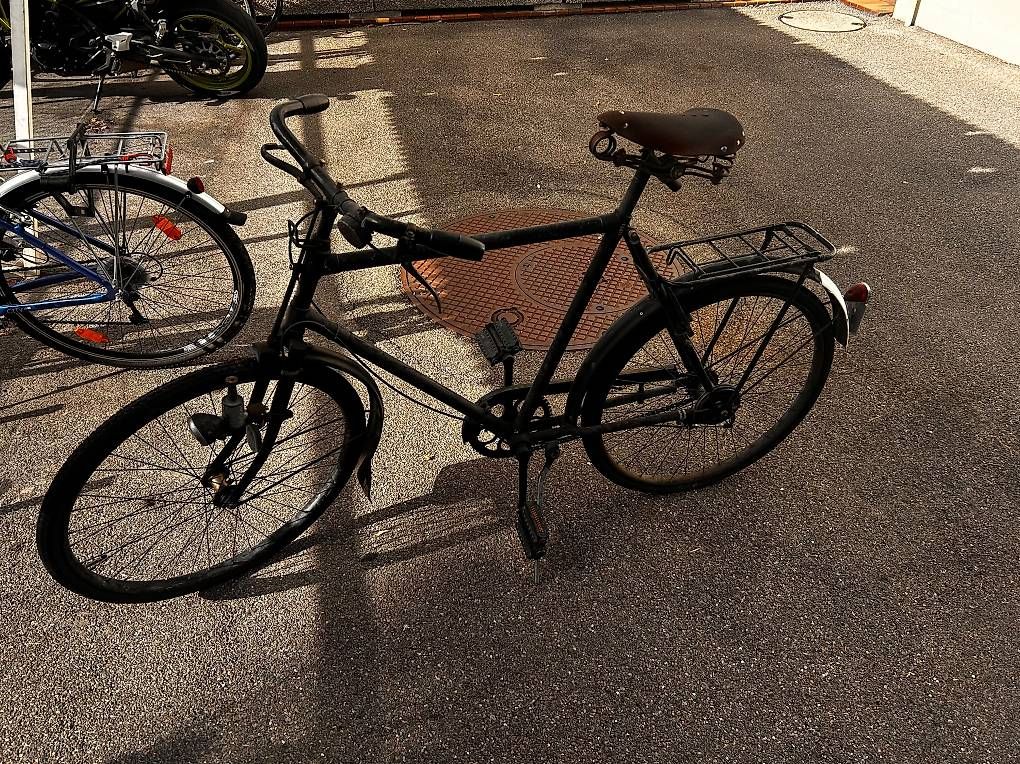 Biciclette: Fahrrad / Velo – Usato da Oberentfelden venduto da Mary_ana 2
