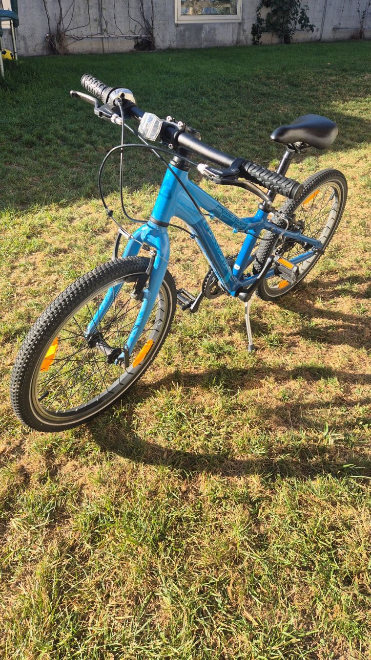 Crosswave Vélos: Crosswave Prime Ride – D'occasion à Schlieren par Roolio 1