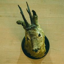 Profile image of KramerBeni