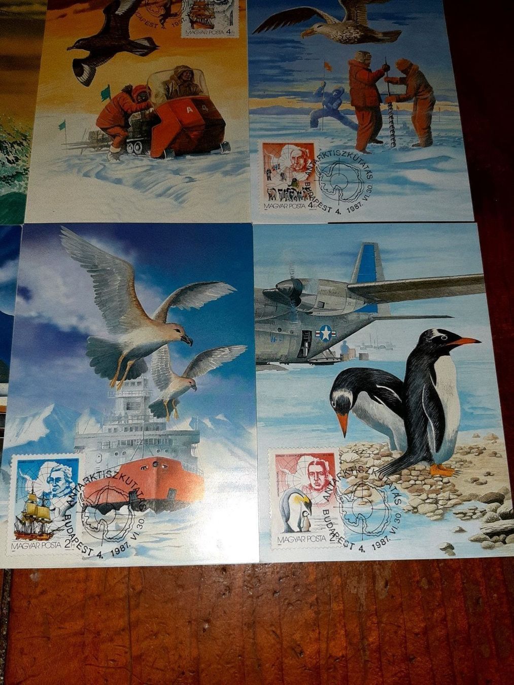 Ansichtskarten: 5 cartes postales antarctique magyar – Neu (gemäss Beschreibung) aus Le locle von juliensaran 1