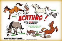 Blechschild-ACHTUNG-KEINE HUNDE AUF WEID