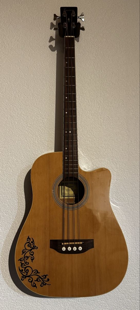 Strumenti musicali: Basse Electro / Acoustique 4 Cordes – Usato da Arconciel venduto da WheelH_23