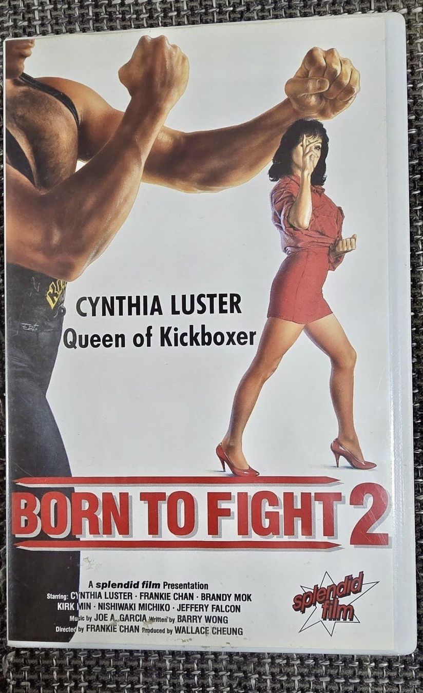 Tutti i VHS: VHS Videokassette - Born to Fight 2 – Usato da Möhlin venduto da bea_gb97