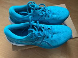 Asics Gel Kayano 29 Eur 41,5, US 8