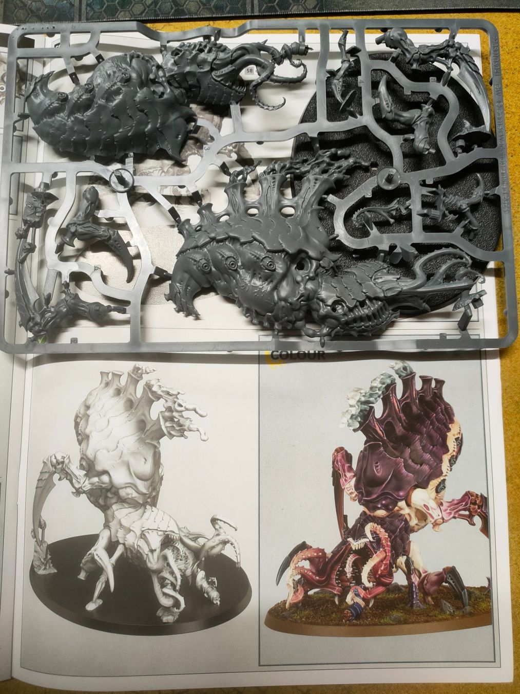 Modellbausätze & Standmodelle: Warhammer 40k Psychophage der Tyraniden – Neu (gemäss Beschreibung) aus Baden von Araneus 1