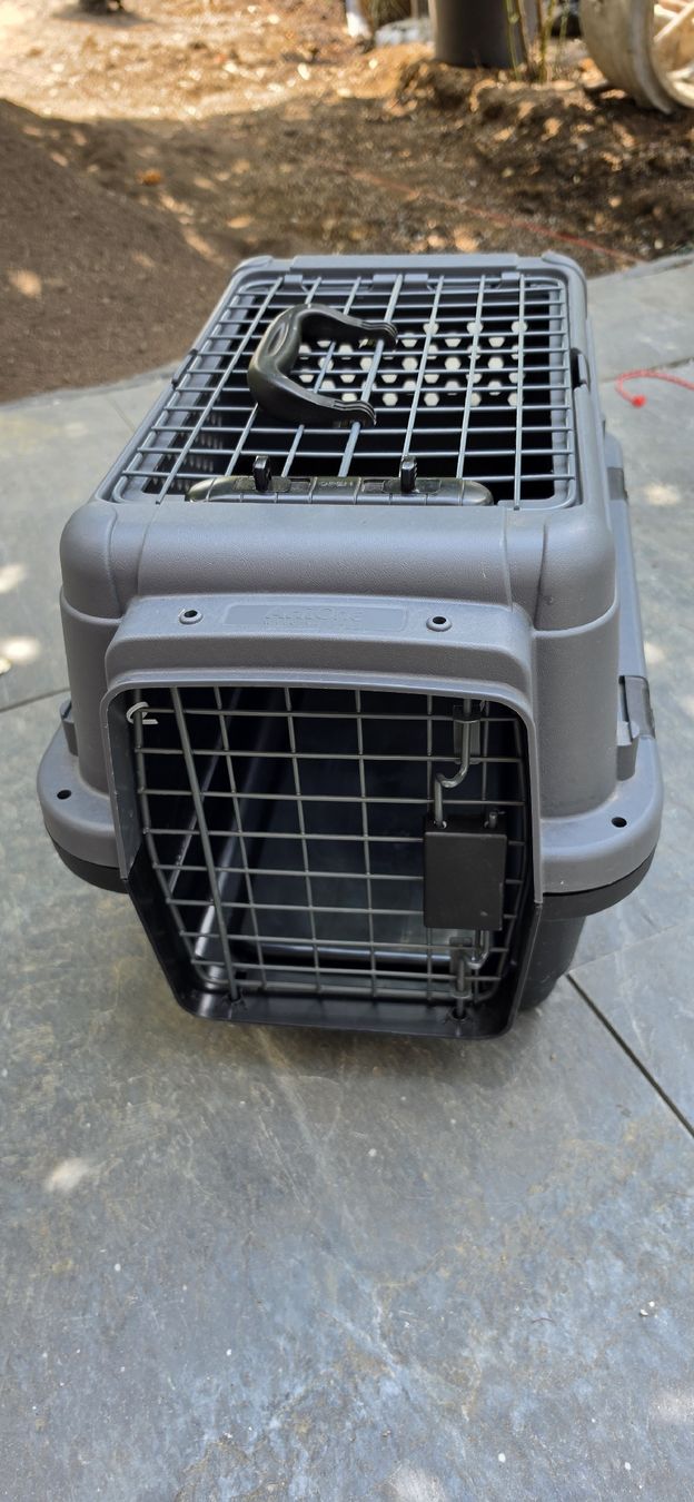 Cages, transport & sécurité: Katzenbox  – Neuf (Voir description) à Hölstein par ger_858l 1