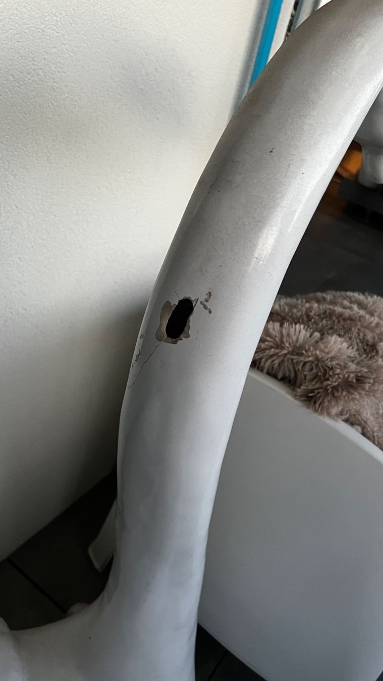 Tutte le decorazioni: Schwan Deko /Kunststück – Usato da Schötz venduto da Bea_LU 2