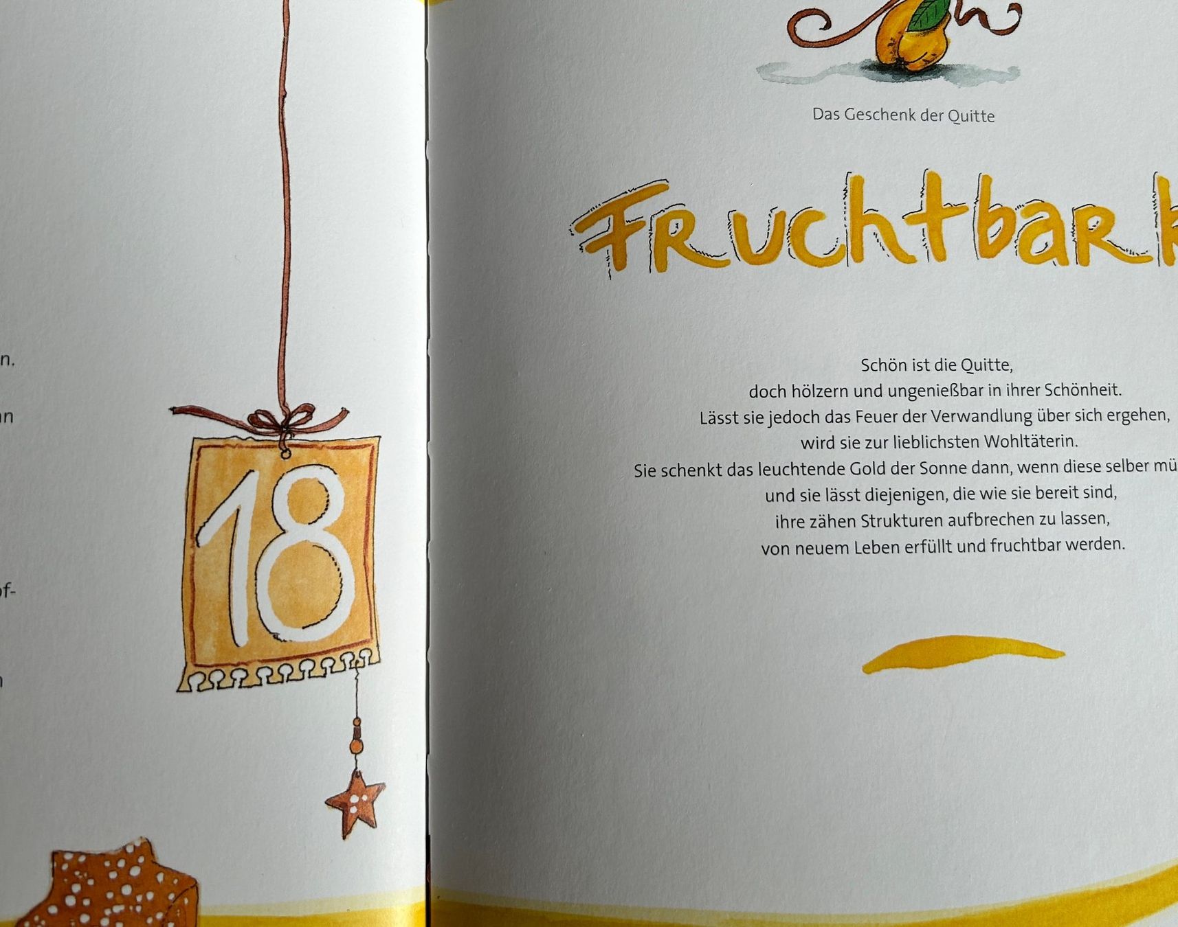 Libri: Backbuch/Sternengeschenke – Usato da Igis venduto da elch04 1