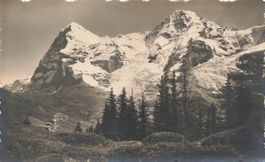 Lauterbrunnen (BE) Wengernalp Eiger und Mönch Alp