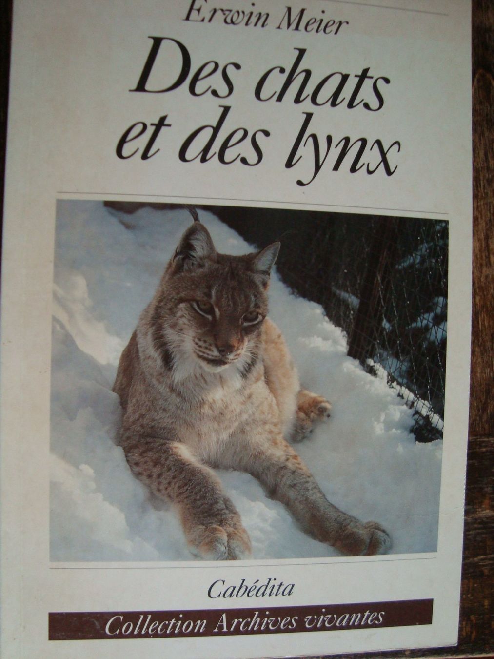 Libri: Des chats et des lynx – Nuovo (secondo la descrizione) da Fribourg venduto da ruswil007