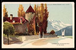 AK Vaud, Chateau de la Tour-de-Peilz