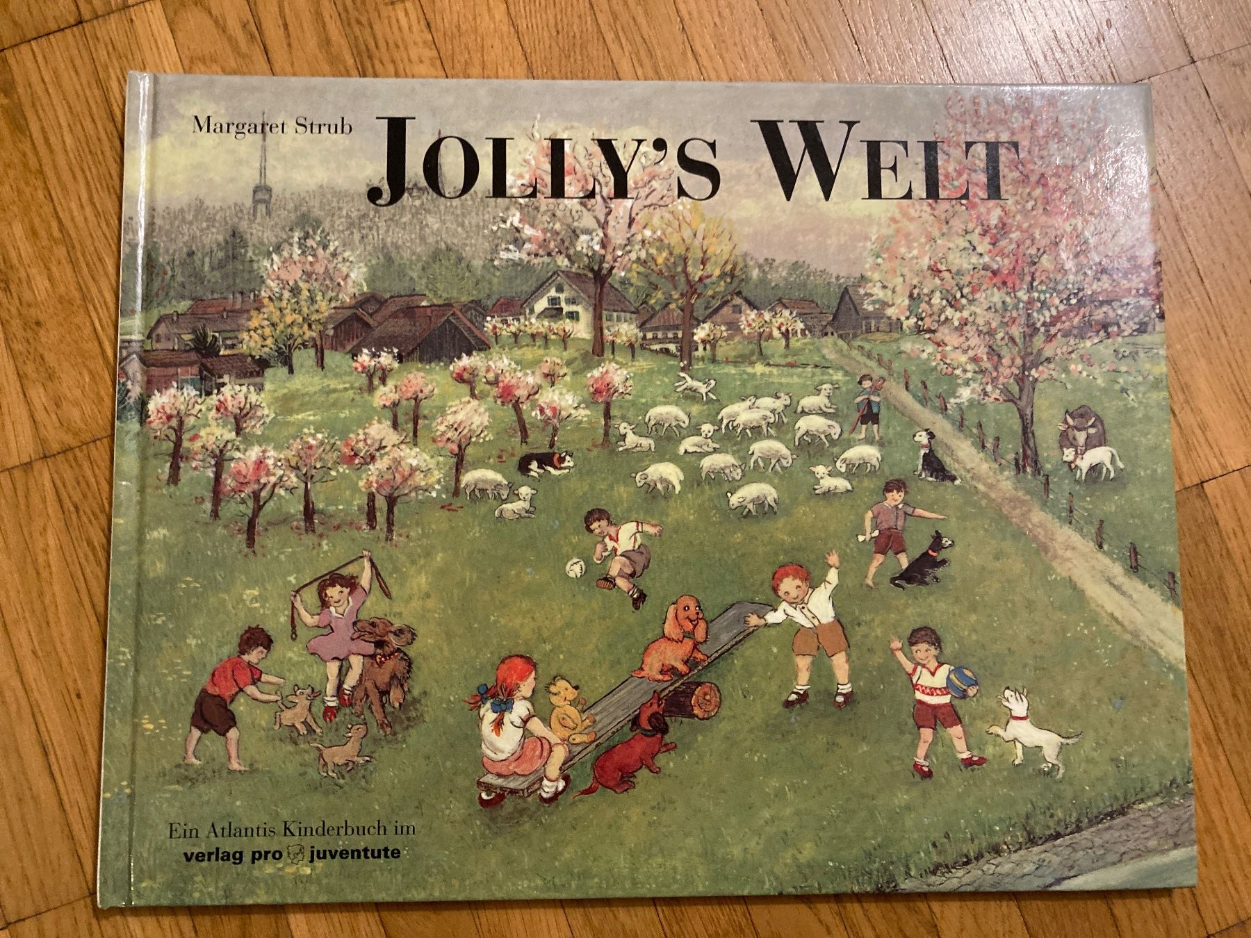 Libri: Jolly's Welt v. Margaret Strub – Nuovo (secondo la descrizione) da Winterthur venduto da Quilterin