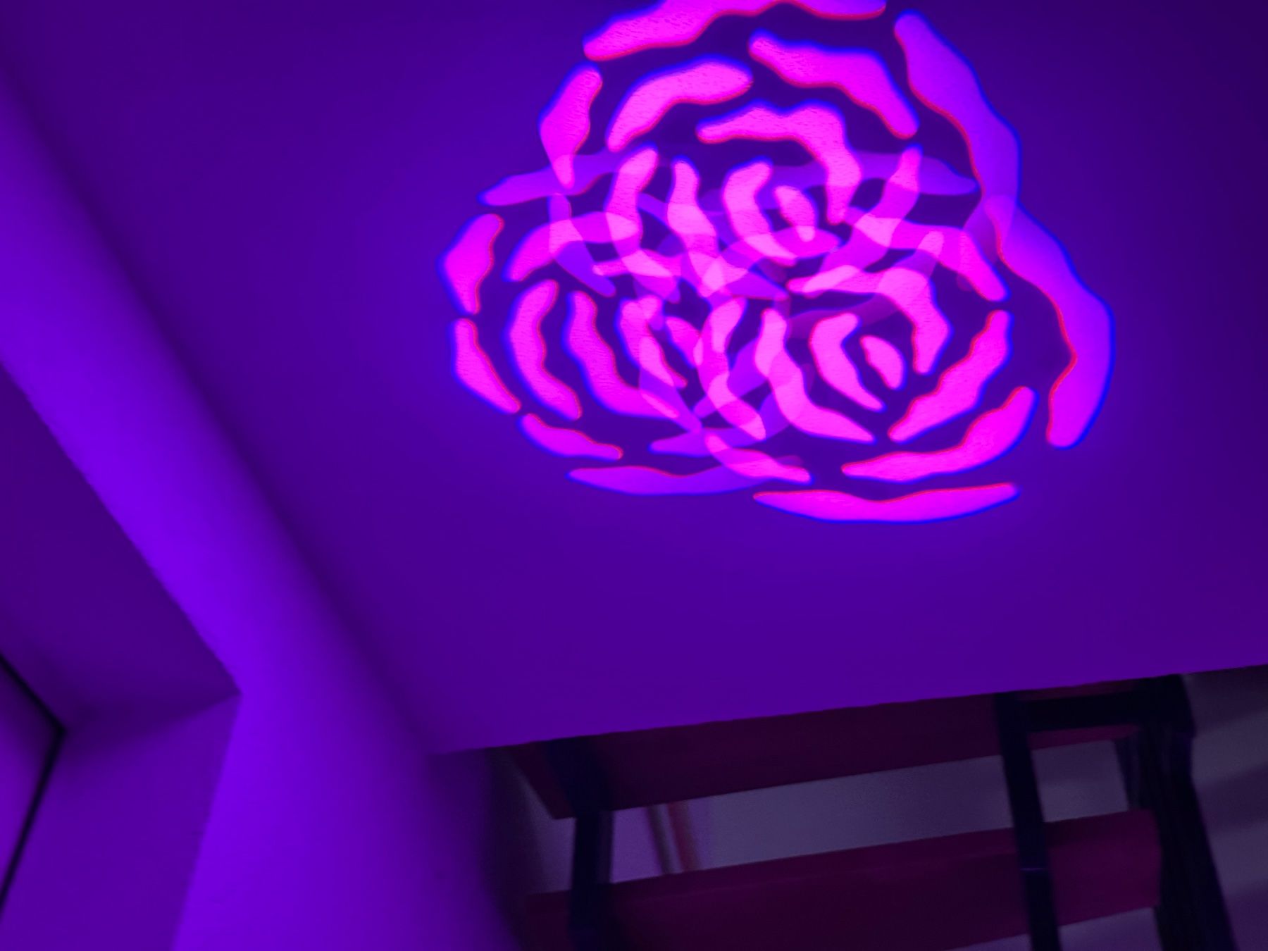 Showtec Lampes: 2x Showtec Phantom 50LED mit Case – D'occasion à Othmarsingen par Mira2020 5