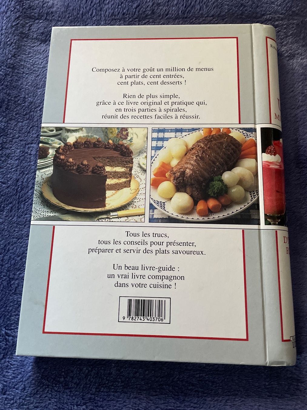 Libri: Un million d’idées repas – Usato da Buchillon venduto da Samui3 1