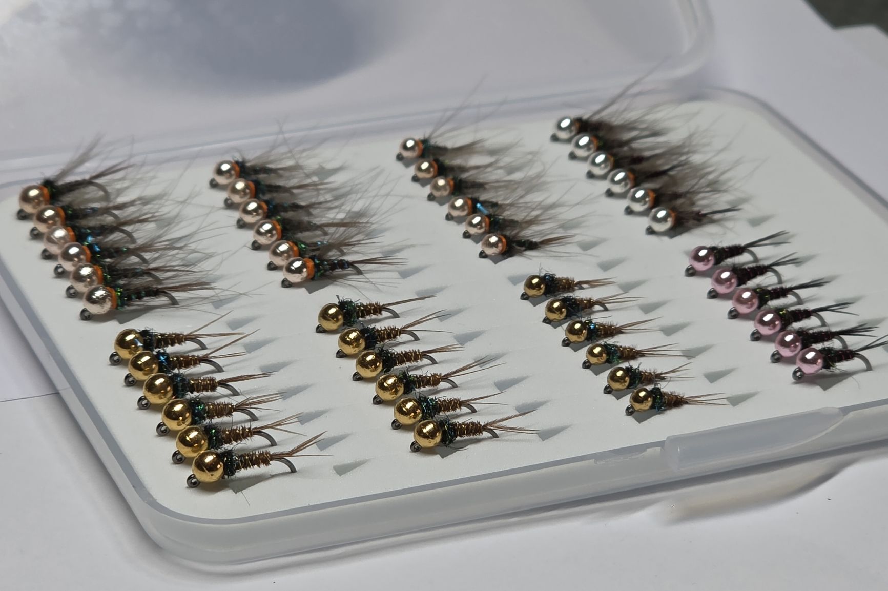 Esche: Box mit 48 Tungsten Nymphen – Nuovo (secondo la descrizione) da Degersheim venduto da HookedOnTheFly
