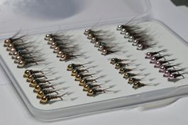 Box mit 48 Tungsten Nymphen