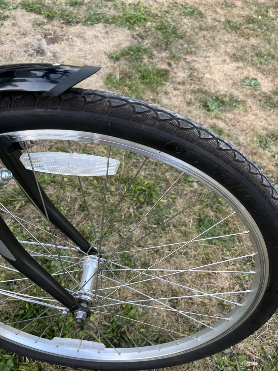 Leopard Biciclette: Citybike – Usato da Liebefeld venduto da saladin77 4