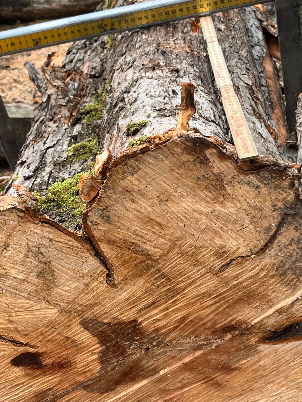 Holzartikel: Apfelbaumstamm – Neu (gemäss Beschreibung) aus Nürensdorf von Peterhakab 9