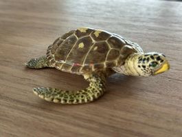 Safari Ltd. Unechte Karettschildkröte Sammelfigur