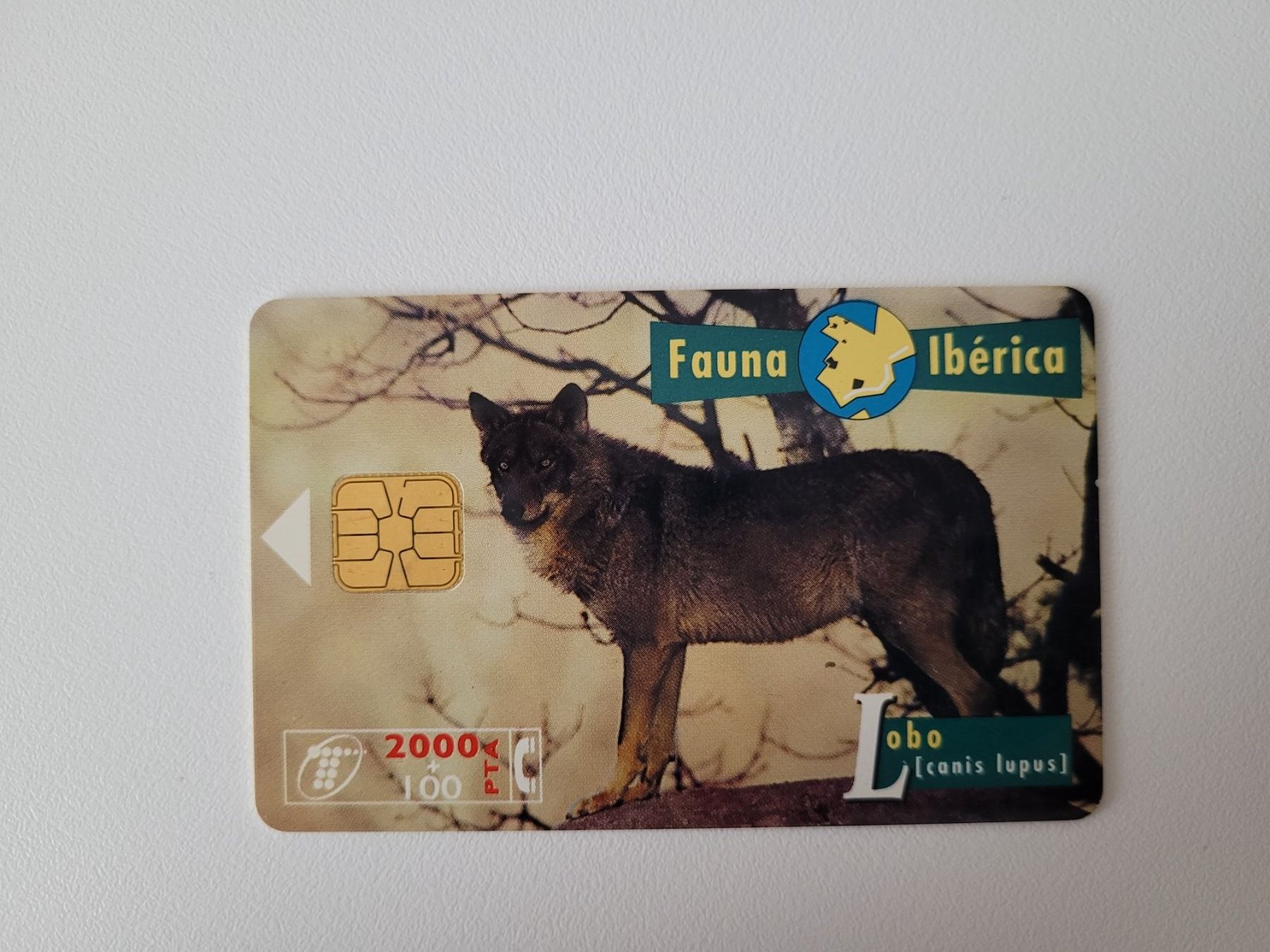 Telefon- & Taxkarten: Telefonkarte Spanien "Wolf" – Gebraucht aus Inwil von Flower2325