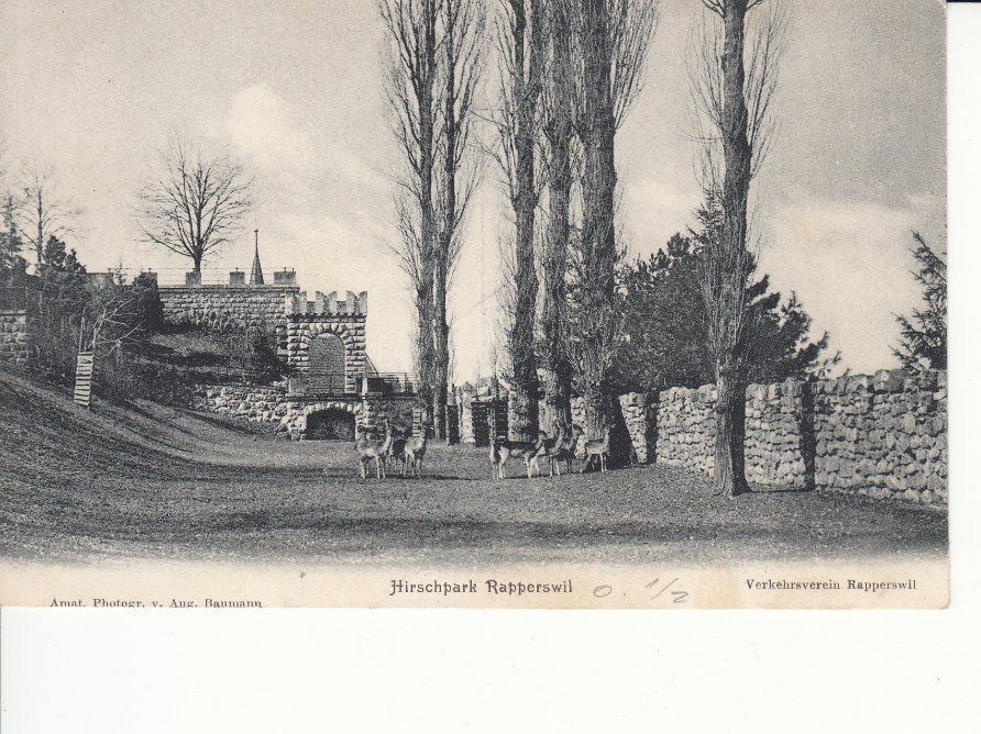 Cartoline postali: Rapperswil ca. 1900 – Usato da Bürglen TG venduto da StampGraf