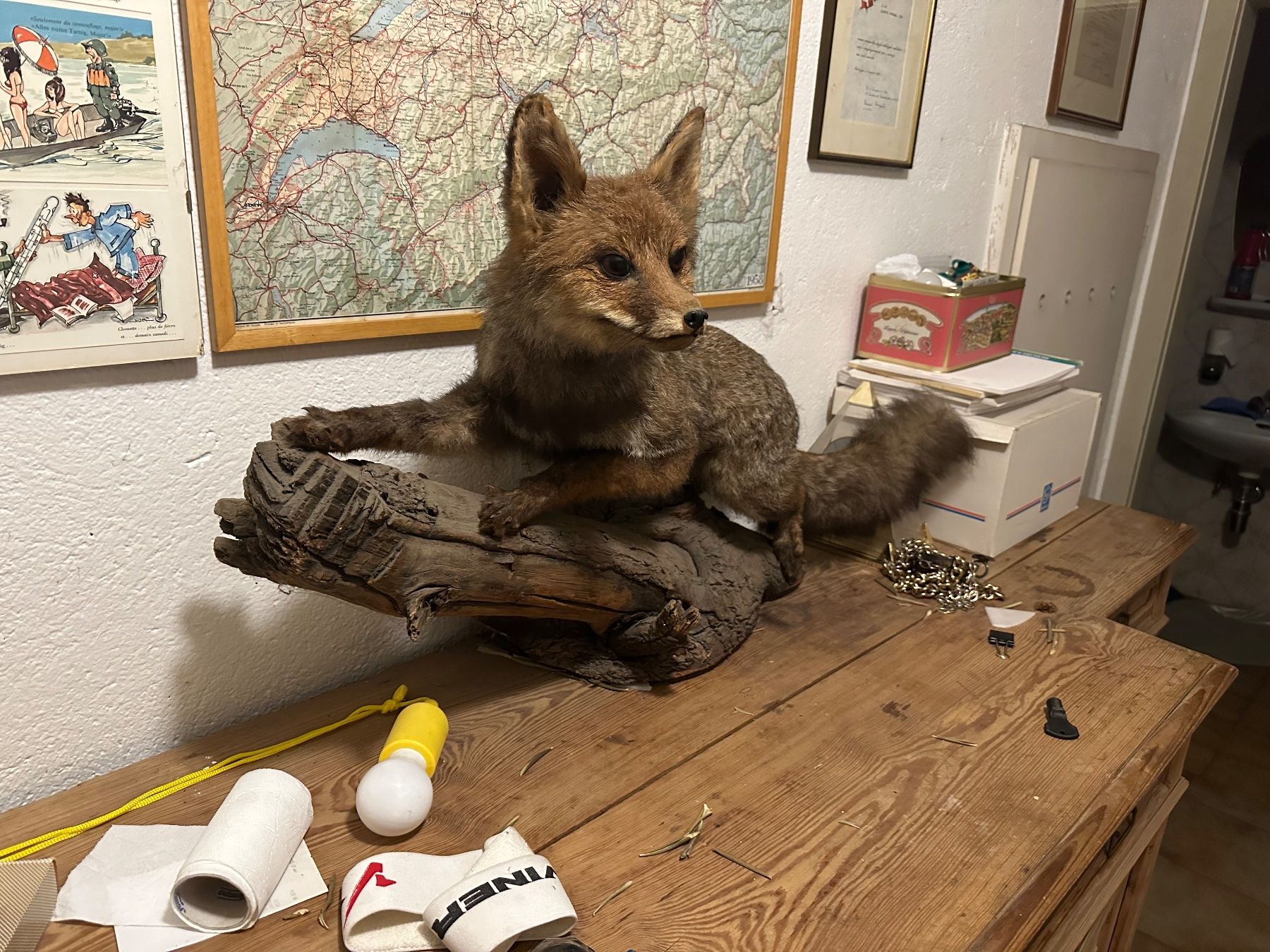 Welt der Tiere: Full Size Stuffed Fox – Gebraucht aus Mendrisio von Ul_fonta 1